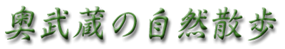 奥武蔵の自然散歩