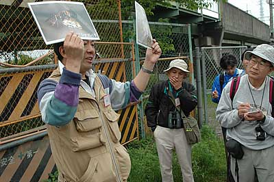 田仲義弘先生アシナガバチの説明