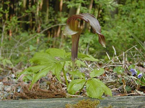 �~�~�K�^�e���i���V���E