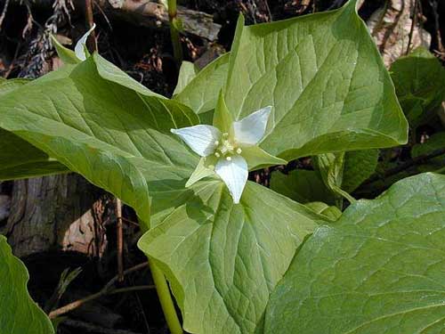 �~���}�G�����C�\�E