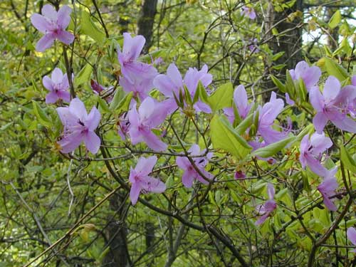 �g�E�S�N�~�c�o�c�c�W