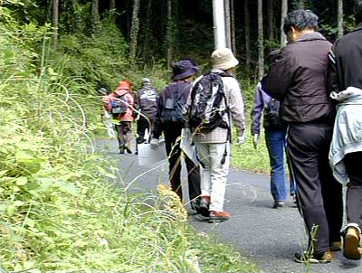 5月2日定例自然観察会