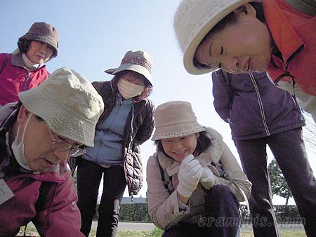 四つ葉のクローバーを見つけた参加者