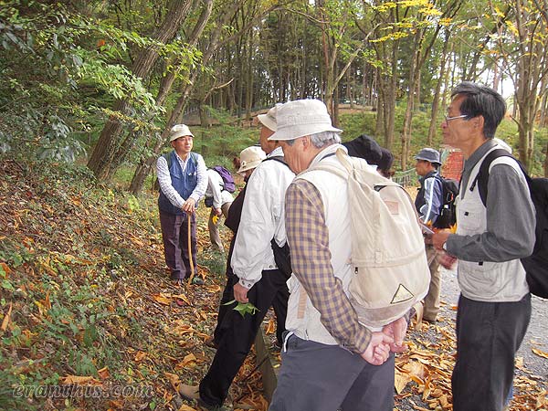 宮沢湖畔で観察