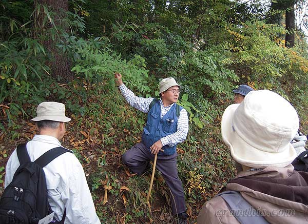 宮沢湖畔の斜面で観察