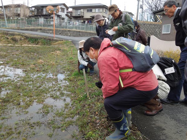 休耕田で観察