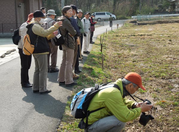 休耕田で観察